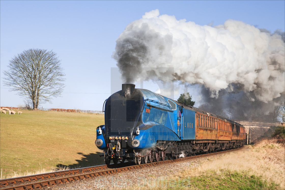 LNER express train in a hurry License, download or print for £6.20